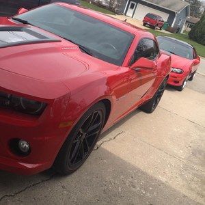 Meet your Posher, Billy